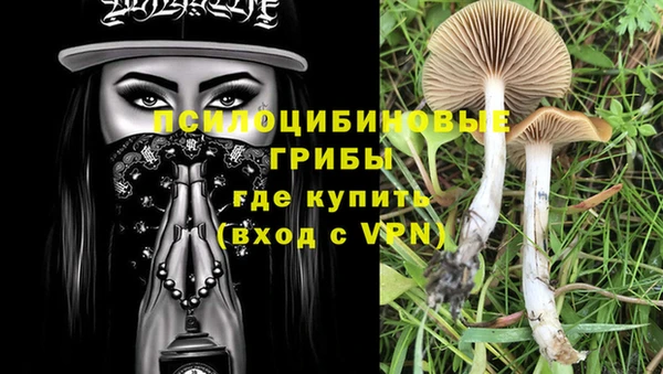 винт Алексеевка