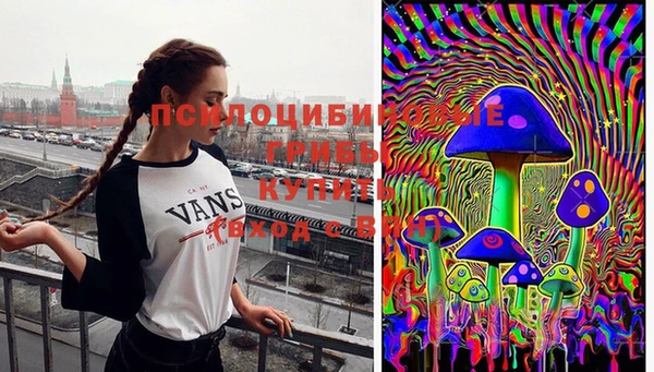 каннабис Алзамай