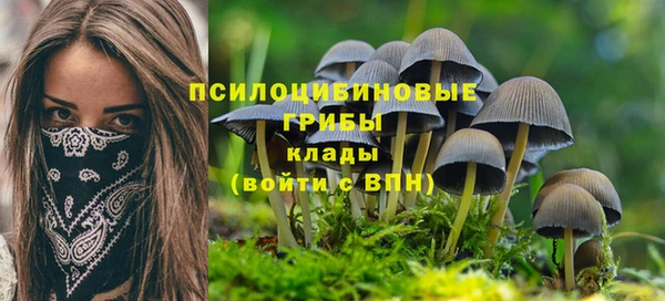каннабис Алзамай