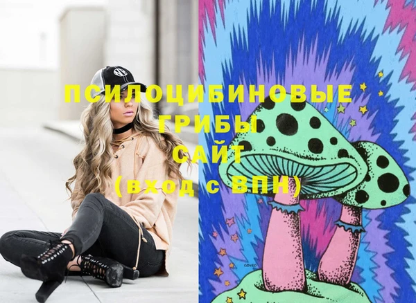 винт Алексеевка