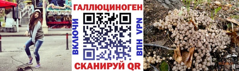 Псилоцибиновые грибы Psilocybe даркнет состав Лагань где купить наркоту